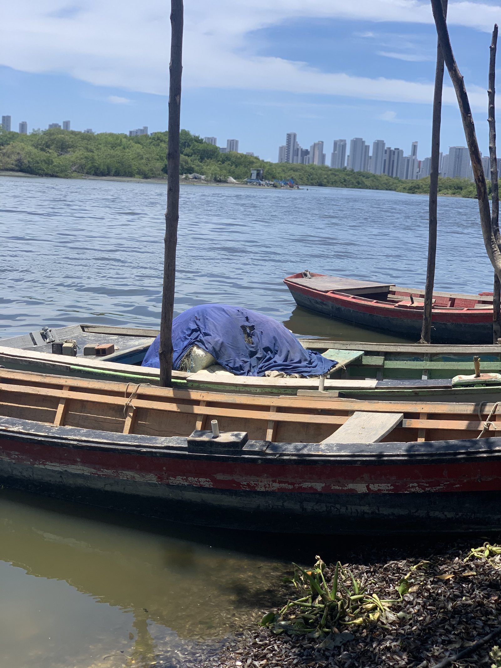 Canoas no mangue da Ilha de Deus com o Recife ao fundo