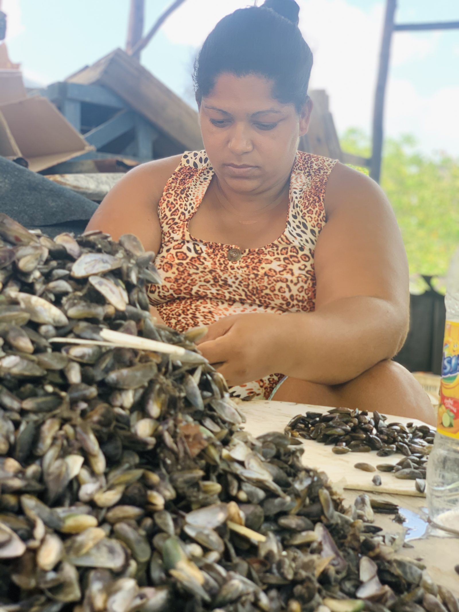 Marisqueira catando marisco na Ilha de Deus