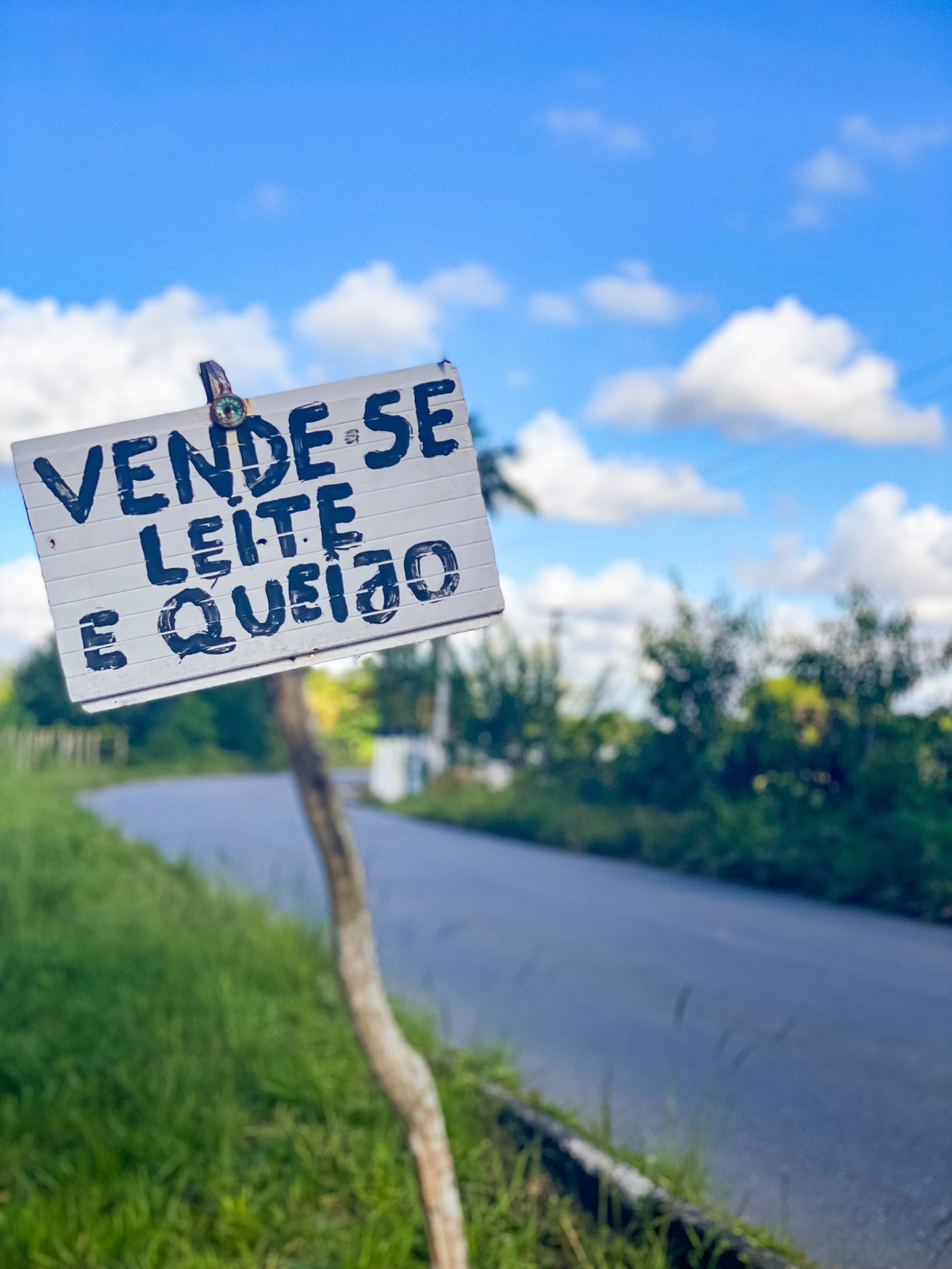 Placa de beira de estrada: vende-se leite e queijo
